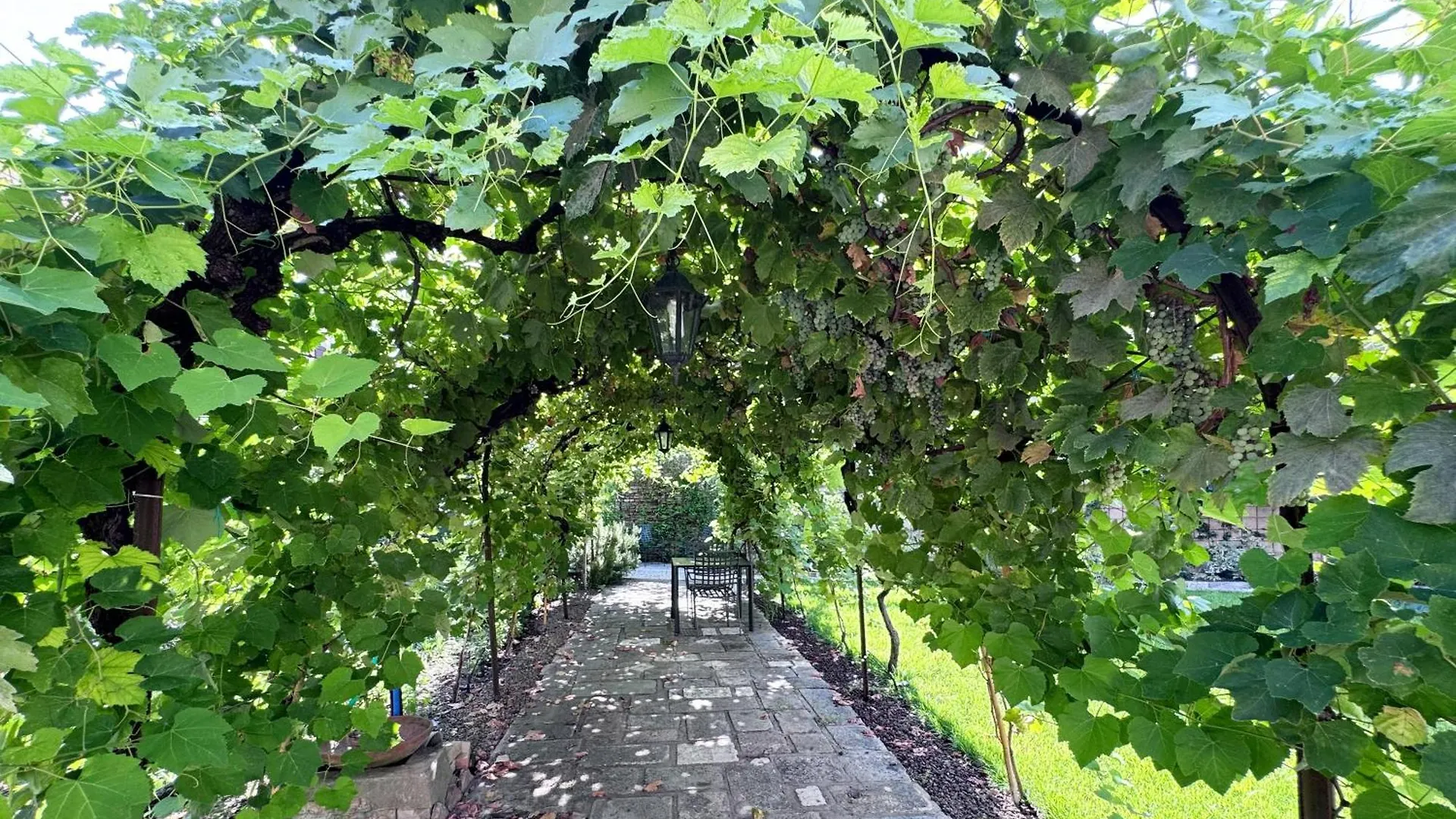 B&B Carmen Garden Burano 0*,